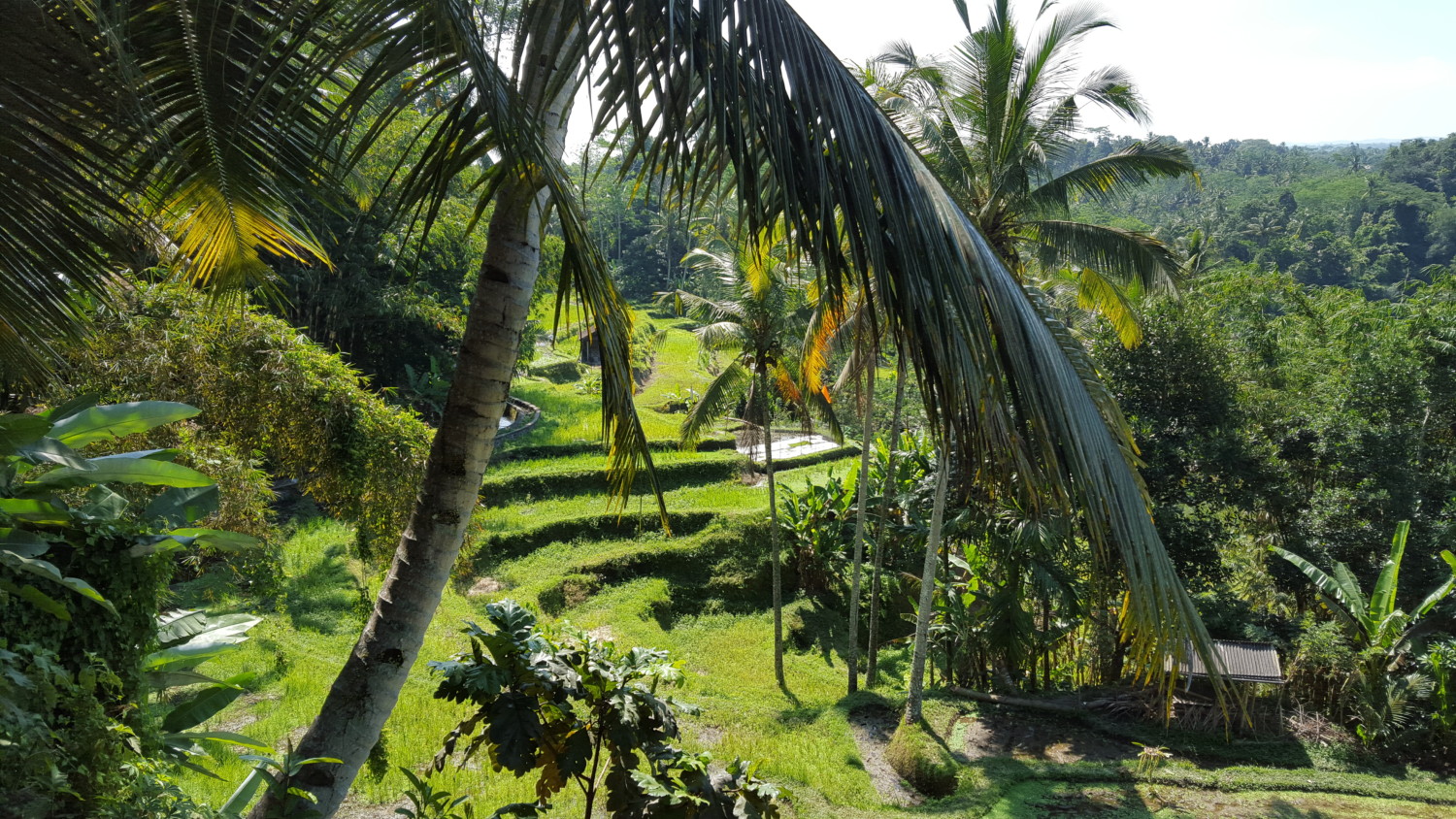 Working Remotely in Bali - Journages