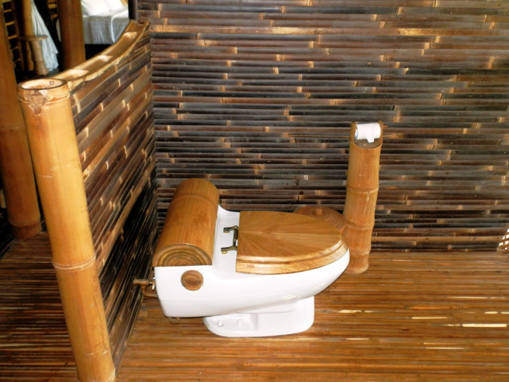 Bamboo toilet