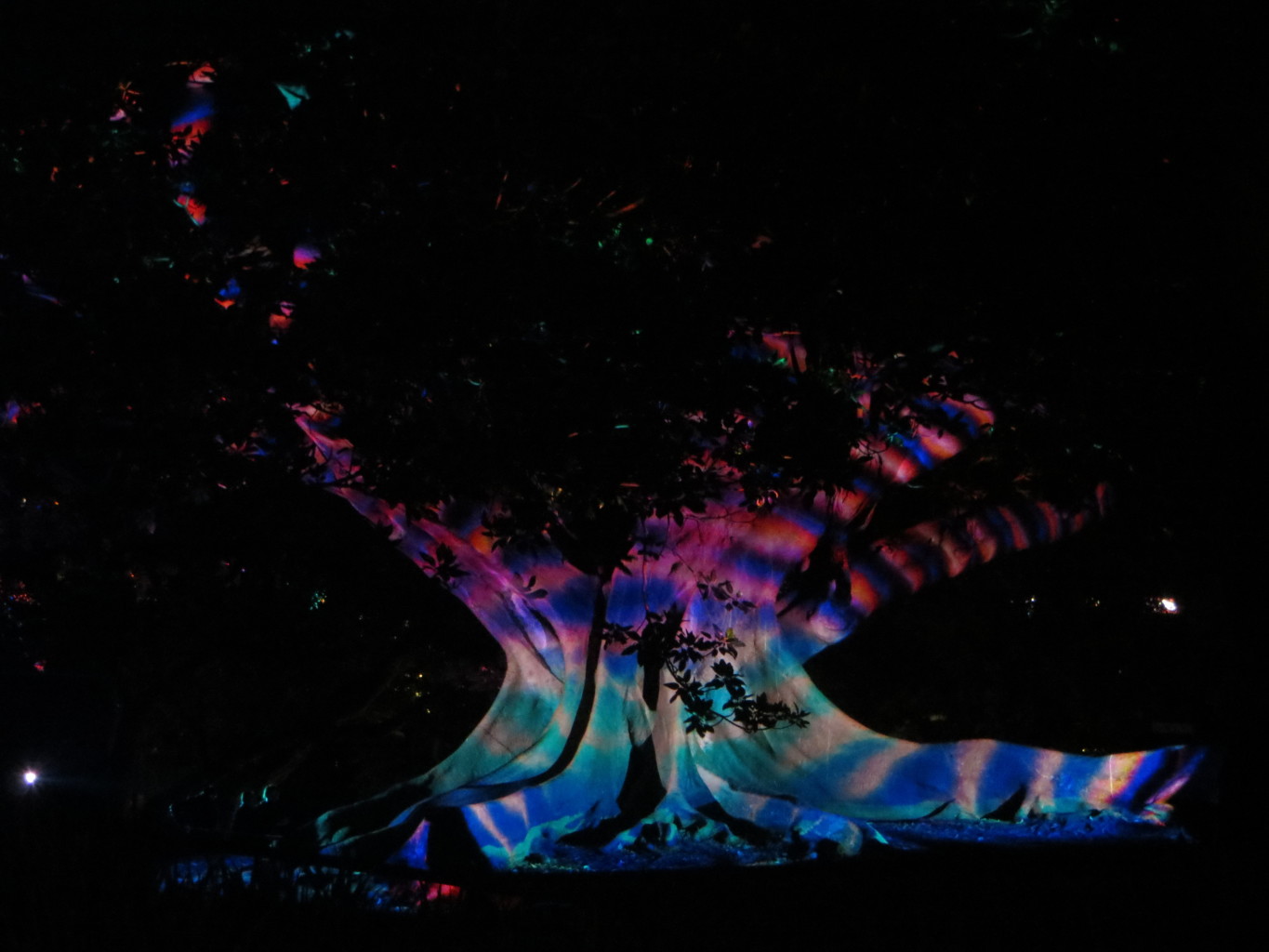 Rainbow Tree Projections Vivid