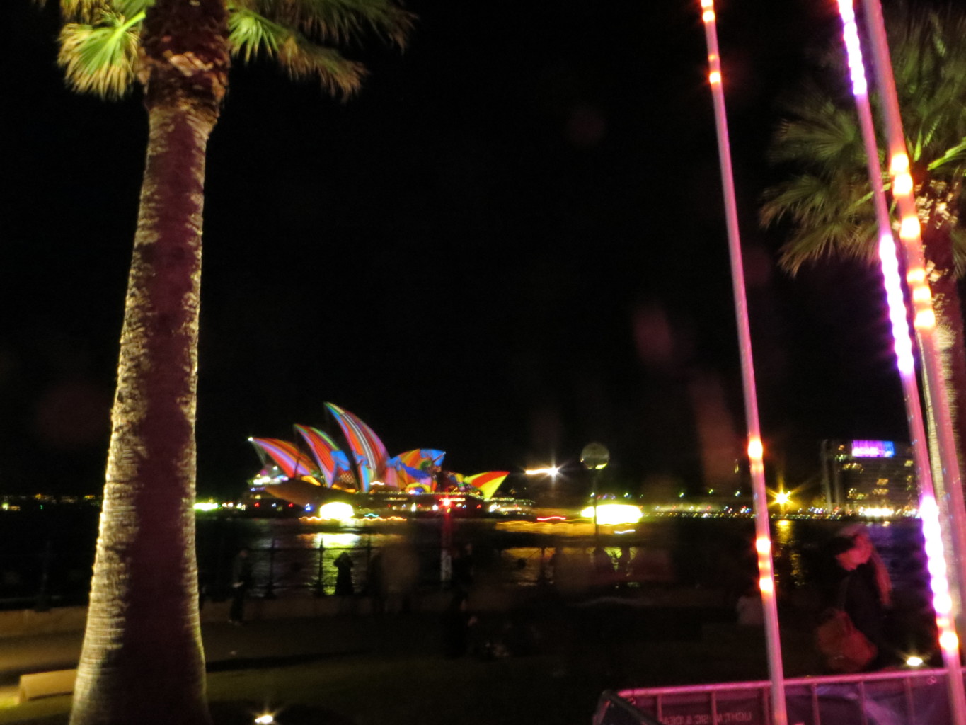 sydney Opera House Palm Tree Vivid