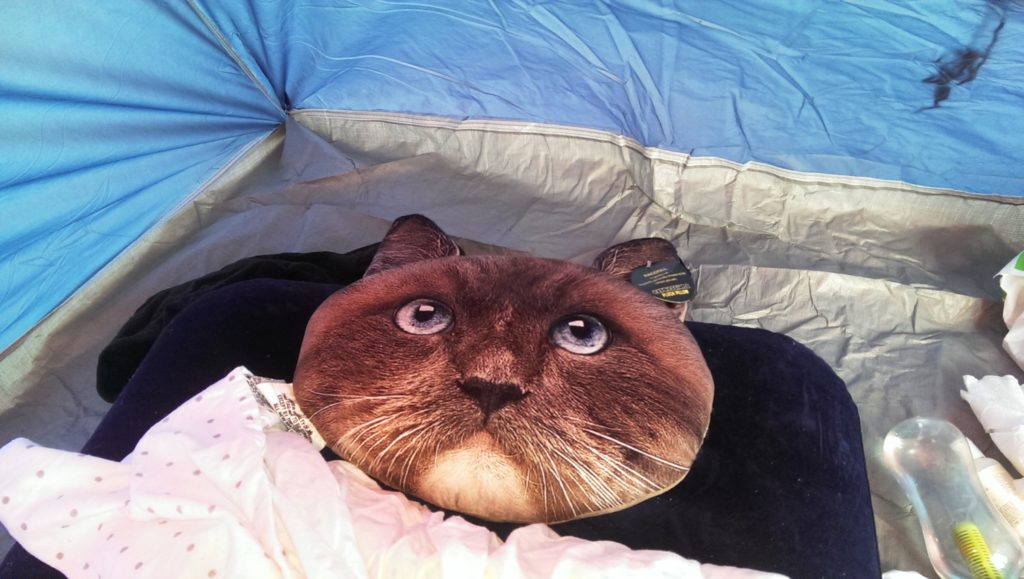 Cat cushion from Walmart