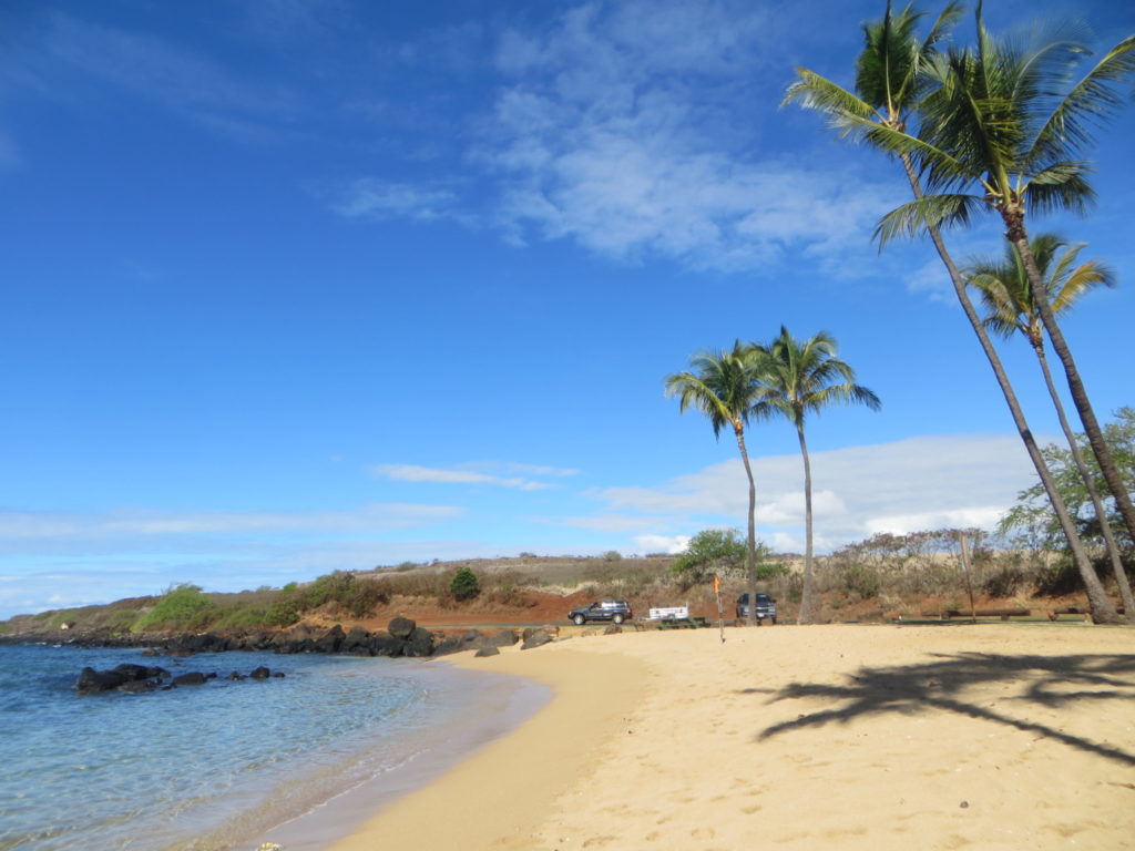 Salt Lake Park beach