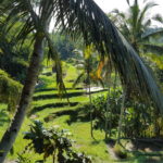 Working Remotely in Bali: The Reality