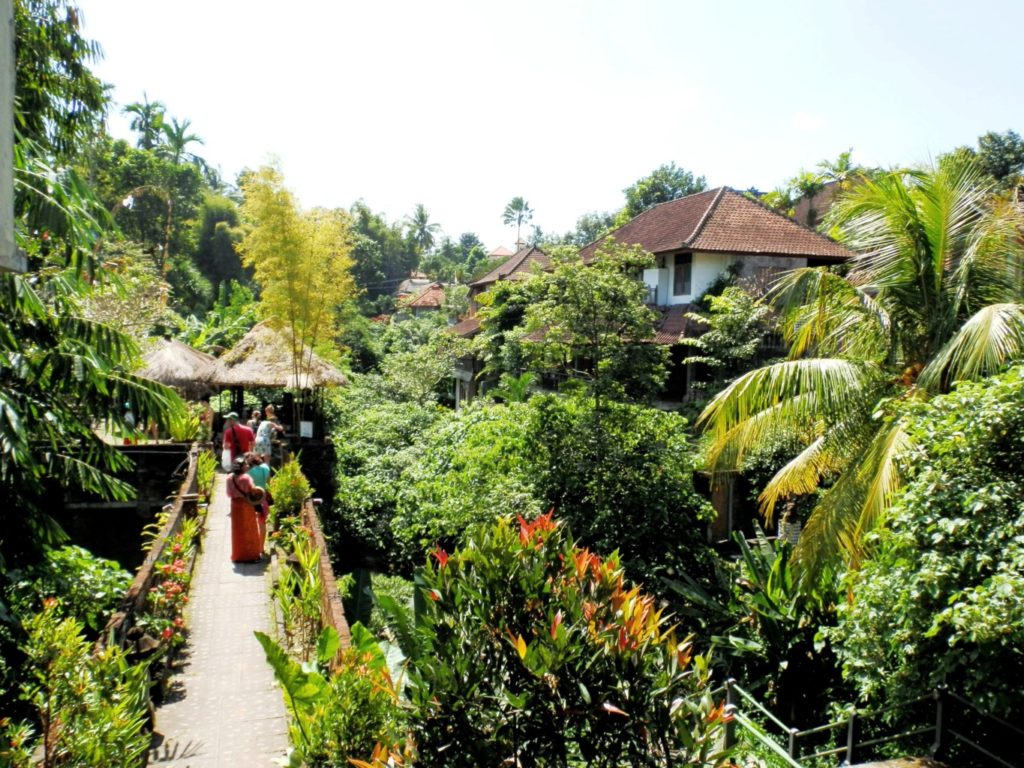 Unbelievably lush Ubud