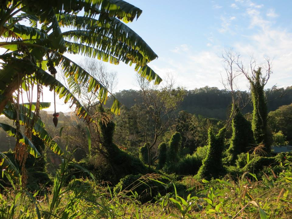 Billen Cliffs Hinterland Vista Billen Cliffs Hinterland