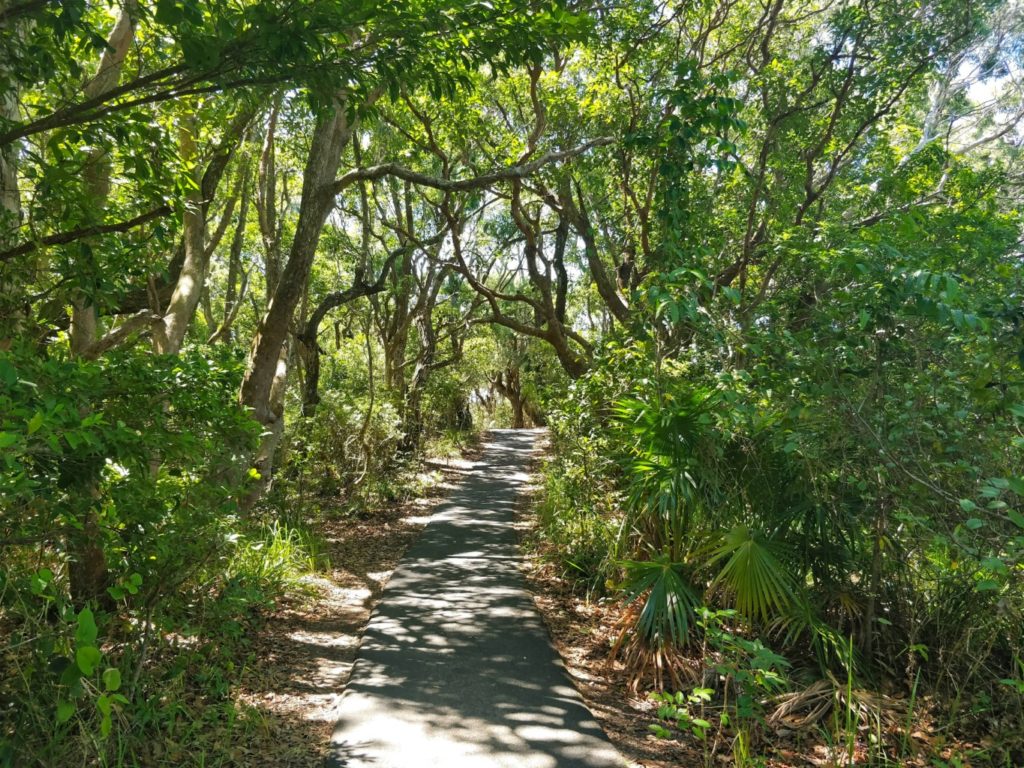 Cape Byron walking track