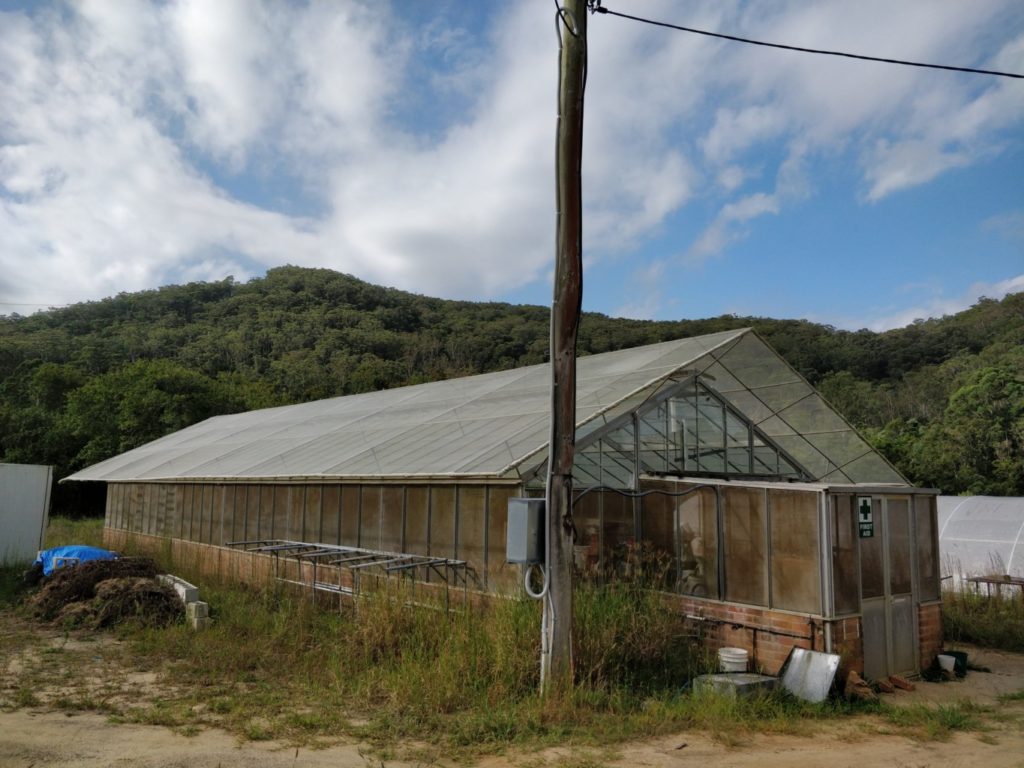 Narara conservatory