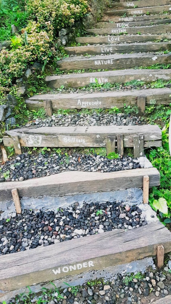 Bali Silent Retreat Daily Steps