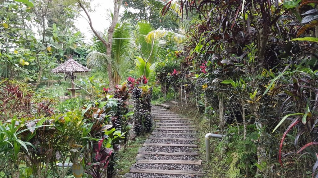 Tropical Gardens Bali Silent Retreat